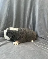 processed/5f72dd42-e64a-460c-80ce-f9c5c3e29315/listing/8087c29f-6fb2-46ae-a714-c33f86d967e6/d73d3f38-8c0d-4fe3-ad2b-802636974c88