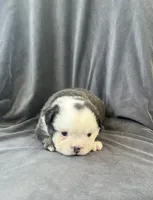 processed/5f72dd42-e64a-460c-80ce-f9c5c3e29315/listing/8087c29f-6fb2-46ae-a714-c33f86d967e6/e17df0aa-5276-4660-9e05-6ea5eaa2dc7b