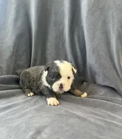 processed/5f72dd42-e64a-460c-80ce-f9c5c3e29315/listing/93774205-fa80-43cf-8457-1de95d3ee04f/99ef7409-343c-41ea-b696-359d71b9ff5a