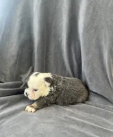 processed/5f72dd42-e64a-460c-80ce-f9c5c3e29315/listing/93774205-fa80-43cf-8457-1de95d3ee04f/d140eb34-27a8-43ad-819d-91af2cd6cbb5