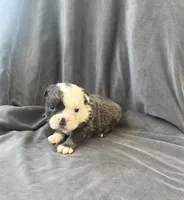 processed/5f72dd42-e64a-460c-80ce-f9c5c3e29315/listing/93774205-fa80-43cf-8457-1de95d3ee04f/e633045c-ceae-424f-8a4b-8b639b72d620