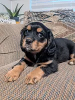 processed/5f7698b0-aa09-4d0a-bb7d-dbe467f620e5/listing/0bf83766-a8fd-4acc-a3bd-4b862ed0a1f3/021d0b4e-8b84-4d77-940c-6e2eafaeaf02