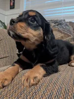 processed/5f7698b0-aa09-4d0a-bb7d-dbe467f620e5/listing/0bf83766-a8fd-4acc-a3bd-4b862ed0a1f3/ce2072b1-6b3a-4a59-bf0b-3f658c5974c6