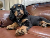 processed/5f7698b0-aa09-4d0a-bb7d-dbe467f620e5/listing/0bf83766-a8fd-4acc-a3bd-4b862ed0a1f3/e6ab35bf-3df8-4985-98da-a77c0b3b2e69