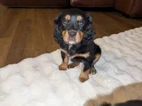 processed/5f7698b0-aa09-4d0a-bb7d-dbe467f620e5/listing/0bf83766-a8fd-4acc-a3bd-4b862ed0a1f3/eba514b8-a091-4a38-a94f-67c148eec44e