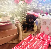 processed/5f7698b0-aa09-4d0a-bb7d-dbe467f620e5/listing/298a414b-b3d9-4ca3-aaa9-44f67d96fbe6/0a560667-8735-4491-85f6-684003cb8762