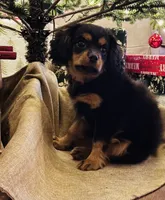 processed/5f7698b0-aa09-4d0a-bb7d-dbe467f620e5/listing/298a414b-b3d9-4ca3-aaa9-44f67d96fbe6/35aafa9b-3964-4e96-8ee6-068108e4096e