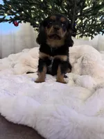 processed/5f7698b0-aa09-4d0a-bb7d-dbe467f620e5/listing/298a414b-b3d9-4ca3-aaa9-44f67d96fbe6/67f4902c-d724-4a95-a30c-8e658235fd4d