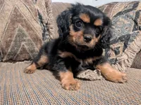 processed/5f7698b0-aa09-4d0a-bb7d-dbe467f620e5/listing/298a414b-b3d9-4ca3-aaa9-44f67d96fbe6/9084bdea-8617-4da0-8764-761cb412f79d