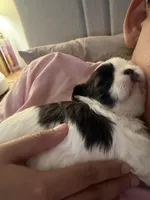 processed/5f7db705-c3fa-472c-9fe6-30ff9c7d4287/facility/84badb39-cd41-4c8f-8919-dad445f6df83