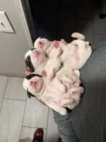 processed/5f7db705-c3fa-472c-9fe6-30ff9c7d4287/facility/cc89fc2e-e552-4365-ad0f-6d4d87a8c656