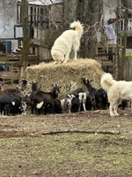 processed/5f7dfff4-a148-4e55-a7d9-80b821eb1999/facility/b550d25a-eff0-4520-b185-365c2e39f417