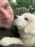 RJ, a male Great Pyrenees for sale in Lebanon, TN – Photo 2 of 5