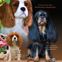 processed/5f833fad-a11a-466f-9721-371b9649d41a/facility/063e0e10-2fb8-4201-9da4-68f02069f00c