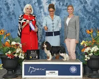 processed/5f833fad-a11a-466f-9721-371b9649d41a/facility/1eab8491-2be3-417f-b923-666f20a6e238