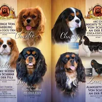 processed/5f833fad-a11a-466f-9721-371b9649d41a/facility/3c047596-19a8-4f93-bba2-6c06ae4c597d