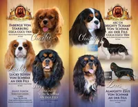 processed/5f833fad-a11a-466f-9721-371b9649d41a/facility/3c047596-19a8-4f93-bba2-6c06ae4c597d