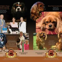 processed/5f833fad-a11a-466f-9721-371b9649d41a/facility/f3172074-d439-4dd4-aed6-ded6e221023e