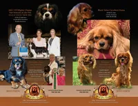 processed/5f833fad-a11a-466f-9721-371b9649d41a/facility/f3172074-d439-4dd4-aed6-ded6e221023e