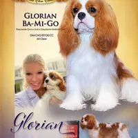 processed/5f833fad-a11a-466f-9721-371b9649d41a/facility/fd4e161b-0d66-4448-801e-3466a2620d43