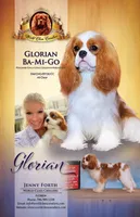 processed/5f833fad-a11a-466f-9721-371b9649d41a/facility/fd4e161b-0d66-4448-801e-3466a2620d43