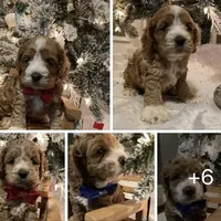 processed/5f876b8d-ea12-42eb-a338-d8adb55abeeb/facility/0dbac3c1-7829-49de-8fa9-f3475741d8c2