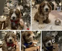 processed/5f876b8d-ea12-42eb-a338-d8adb55abeeb/facility/0dbac3c1-7829-49de-8fa9-f3475741d8c2