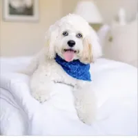 processed/5f876b8d-ea12-42eb-a338-d8adb55abeeb/facility/0eecace3-00c6-46de-ada3-265af38f7f87