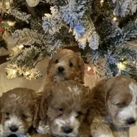 processed/5f876b8d-ea12-42eb-a338-d8adb55abeeb/facility/1459f9ab-5839-4b4e-8a70-17f3235af2b2