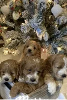 processed/5f876b8d-ea12-42eb-a338-d8adb55abeeb/facility/1459f9ab-5839-4b4e-8a70-17f3235af2b2