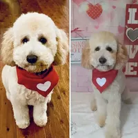 processed/5f876b8d-ea12-42eb-a338-d8adb55abeeb/facility/2f20dd78-aeb8-46f3-8486-df7ba385f929