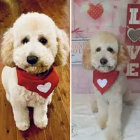 processed/5f876b8d-ea12-42eb-a338-d8adb55abeeb/facility/2f20dd78-aeb8-46f3-8486-df7ba385f929