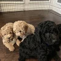 processed/5f876b8d-ea12-42eb-a338-d8adb55abeeb/facility/4091f5cb-73ba-4dcd-996c-c3e6c5d8e74e