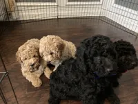 processed/5f876b8d-ea12-42eb-a338-d8adb55abeeb/facility/4091f5cb-73ba-4dcd-996c-c3e6c5d8e74e