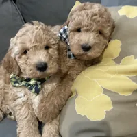 processed/5f876b8d-ea12-42eb-a338-d8adb55abeeb/facility/9f092e4e-fb64-4c1f-80f9-e3f65eae6f62