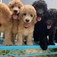 processed/5f876b8d-ea12-42eb-a338-d8adb55abeeb/facility/ac5f00d0-42f1-49bd-ad20-b4edb560e265