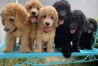 processed/5f876b8d-ea12-42eb-a338-d8adb55abeeb/facility/ac5f00d0-42f1-49bd-ad20-b4edb560e265