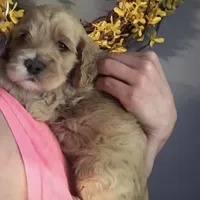 processed/5f876b8d-ea12-42eb-a338-d8adb55abeeb/facility/bdef4ffd-21e1-4457-a7f2-9b7620f3070e