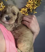 processed/5f876b8d-ea12-42eb-a338-d8adb55abeeb/facility/bdef4ffd-21e1-4457-a7f2-9b7620f3070e