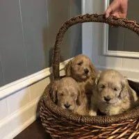 processed/5f876b8d-ea12-42eb-a338-d8adb55abeeb/facility/c5ab81a7-fe14-4b57-9f9f-5bec9d6d349f