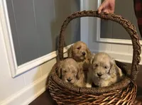 processed/5f876b8d-ea12-42eb-a338-d8adb55abeeb/facility/c5ab81a7-fe14-4b57-9f9f-5bec9d6d349f