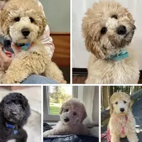 processed/5f876b8d-ea12-42eb-a338-d8adb55abeeb/facility/efe239a7-6443-4085-b4f7-6272065645e1