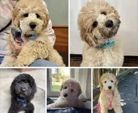 processed/5f876b8d-ea12-42eb-a338-d8adb55abeeb/facility/efe239a7-6443-4085-b4f7-6272065645e1