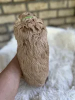 Cockapoo Boy#2, a male Cockapoo for sale in Charlotte, NC – Photo 2 of 6