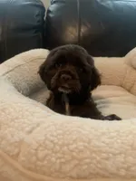 processed/5f876b8d-ea12-42eb-a338-d8adb55abeeb/listing/4e708c71-e15e-49aa-a8d9-6aa206d8bdac/2bd1a643-e512-4091-ad04-1119afc95541