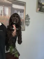 processed/5f876b8d-ea12-42eb-a338-d8adb55abeeb/listing/4e708c71-e15e-49aa-a8d9-6aa206d8bdac/6aca5b7d-bc77-4344-aa32-509b462aa61c