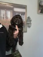 processed/5f876b8d-ea12-42eb-a338-d8adb55abeeb/listing/4e708c71-e15e-49aa-a8d9-6aa206d8bdac/75914db1-96e7-4522-9840-81ebc9422d50