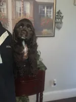 processed/5f876b8d-ea12-42eb-a338-d8adb55abeeb/listing/4e708c71-e15e-49aa-a8d9-6aa206d8bdac/7d5effce-17a9-4cca-88ce-21e07b5bb20f