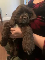 processed/5f876b8d-ea12-42eb-a338-d8adb55abeeb/listing/4e708c71-e15e-49aa-a8d9-6aa206d8bdac/8796ad40-d14f-4a2e-8698-adfcaa8cd70d