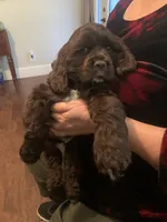 processed/5f876b8d-ea12-42eb-a338-d8adb55abeeb/listing/4e708c71-e15e-49aa-a8d9-6aa206d8bdac/aa9a7243-8942-4dbf-bda6-71ff714158e9